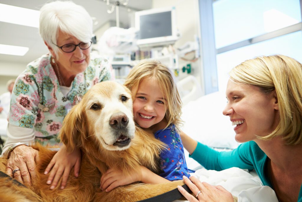 A dog is sitting on the bed with its owner and two other people.