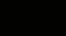 Therapy dog with senior companion