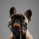 Share Your Story & Inspire Others