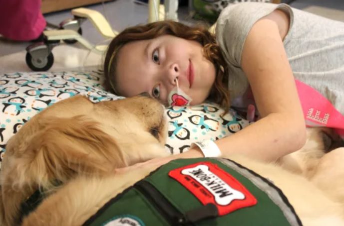 A girl laying in bed with her cat.