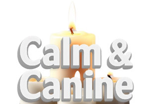Calm & Canine