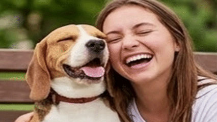 Paws for Purpose NOVA fundraiser