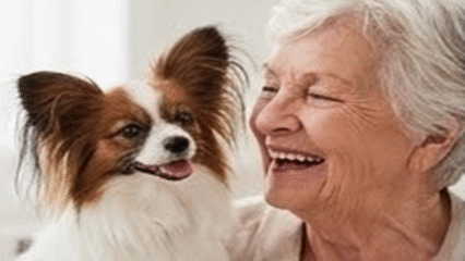 DaVinci Digest newsletter