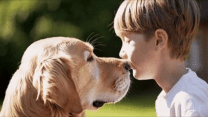 Community connection with therapy dogs